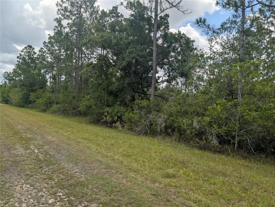 519 Camellia Drive, Indian Lake Estates, FL 33855 - #3