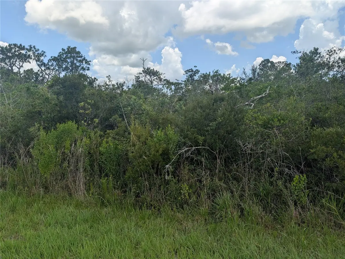 314 Camellia Drive, Indian Lake Estates, FL 33855 - #1