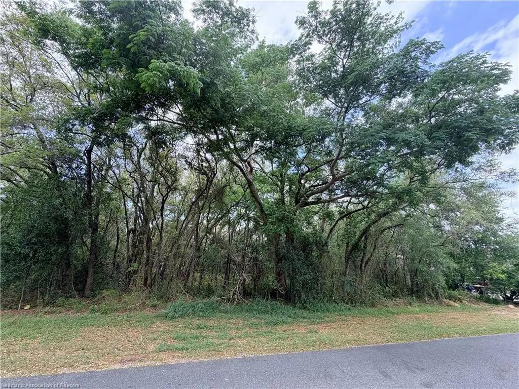 1727 N Berkley Road, Avon Park, FL 33825 - #1