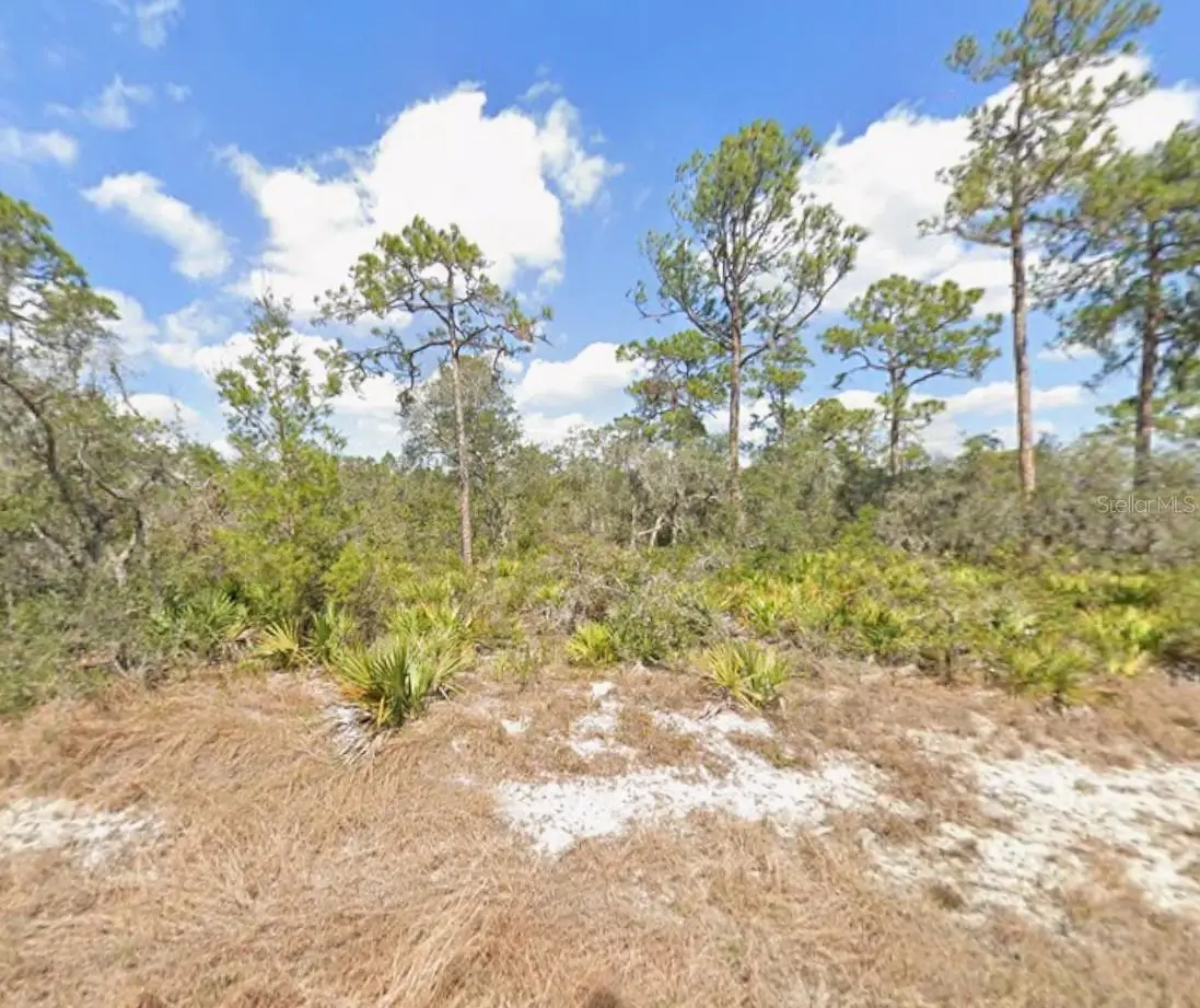 3047 Willow Avenue, Lake Placid, FL 33852 - #1