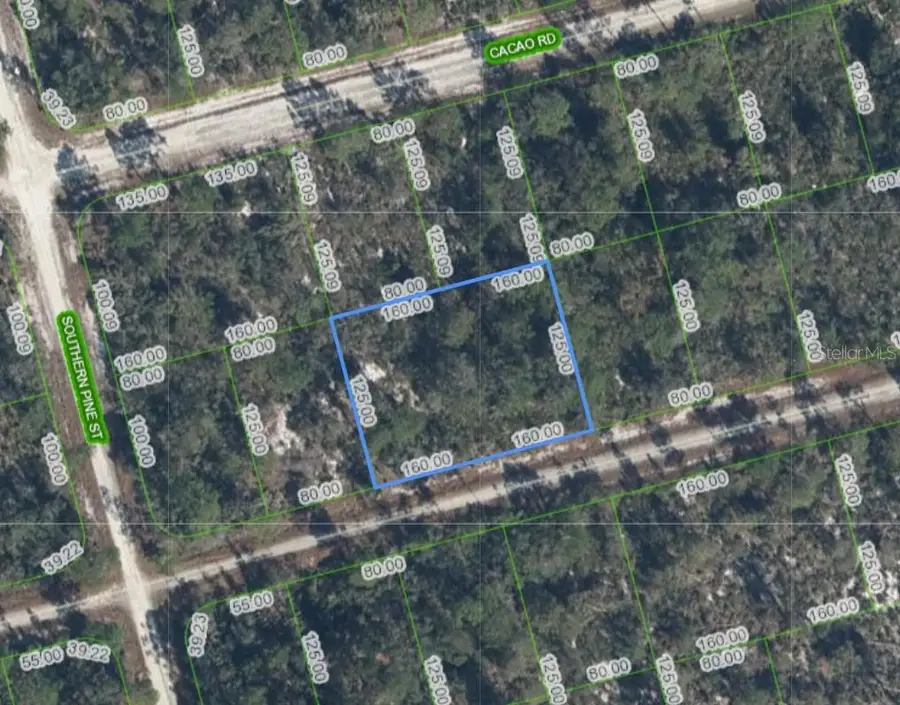 3047 Willow Avenue, Lake Placid, FL 33852 - #3