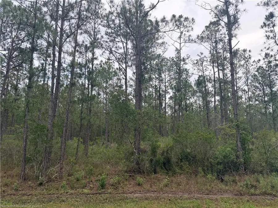 6438 Merrick Drive, Sebring, FL 33872 - #2