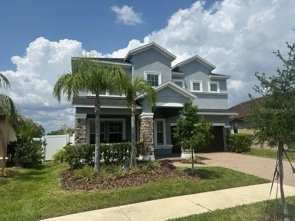 11928 Frost Aster Drive, RIVERVIEW, FL 33579