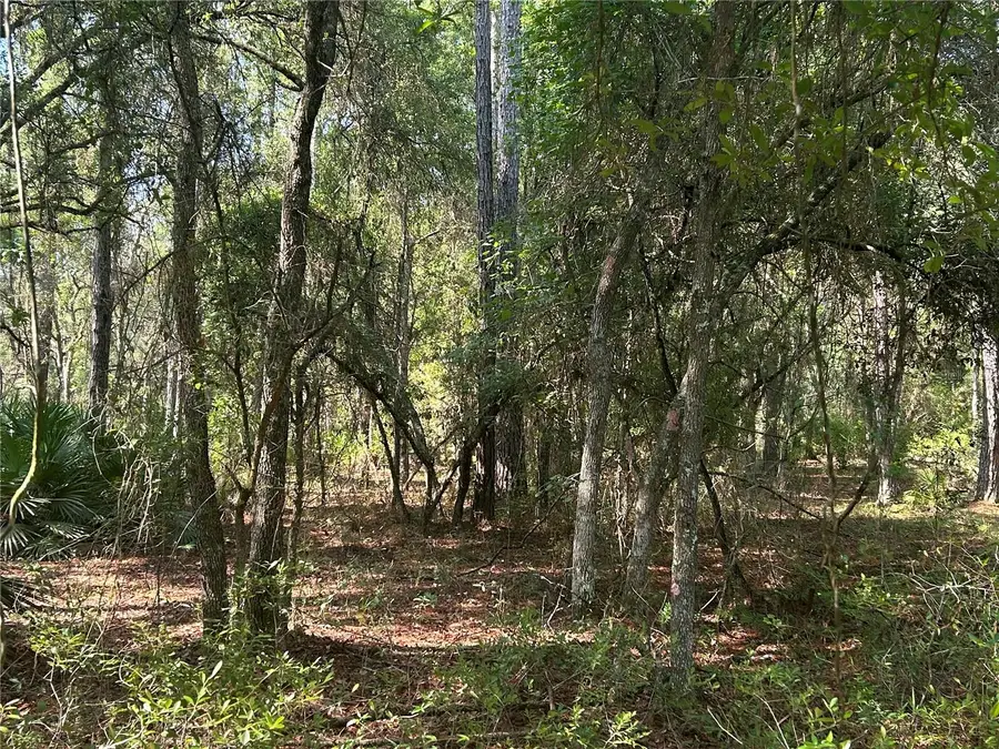 709 Georgetown Denver Road, Crescent City, FL 32112 - #2