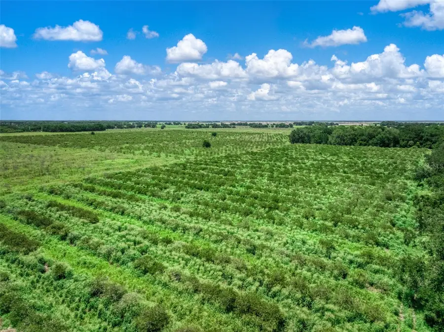 0 Stephens Road, Wauchula, FL 33873 - #3