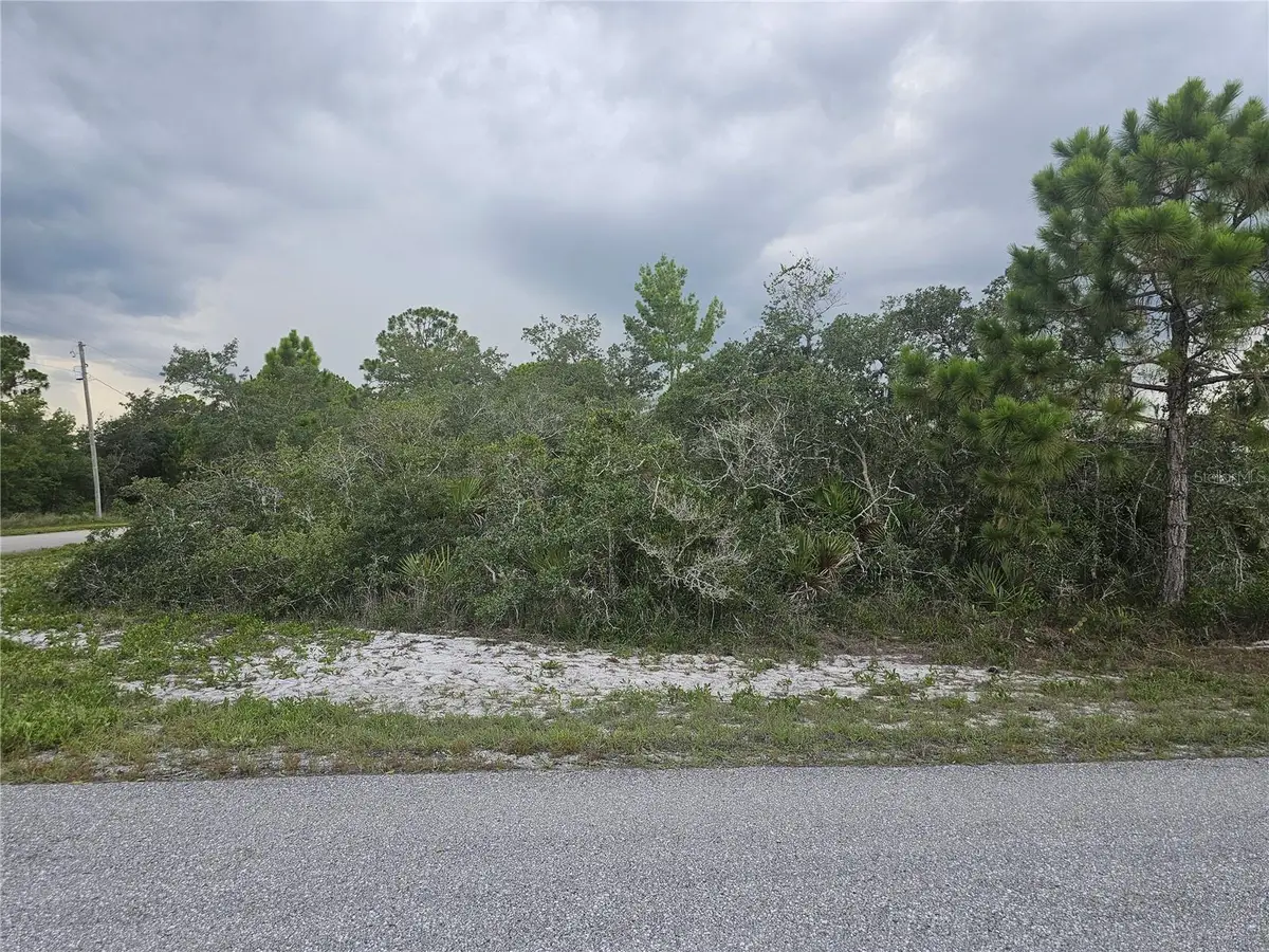 643 Buccaneer Street Nw, Lake Placid, FL 33852 - #1