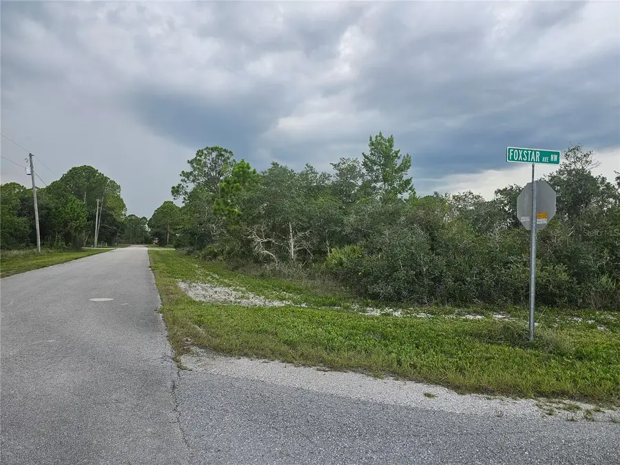 643 Buccaneer Street Nw, Lake Placid, FL 33852 - #3
