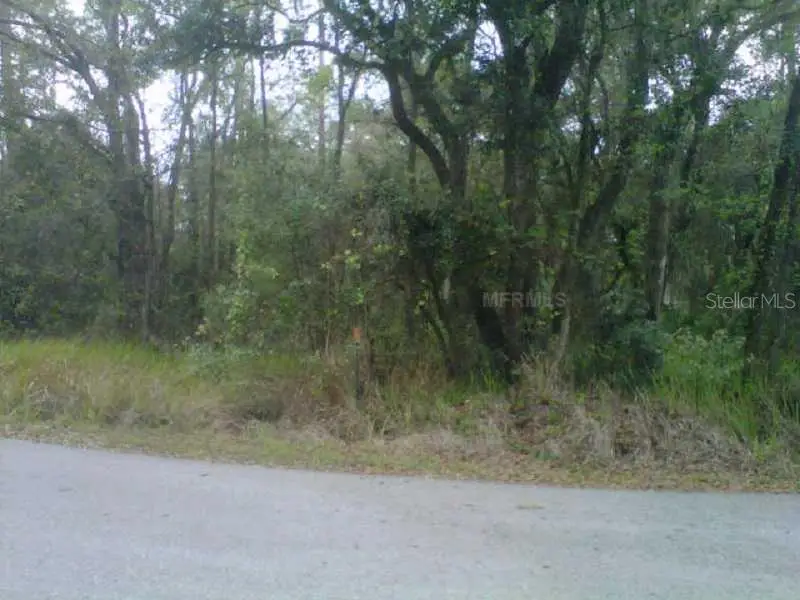 State Park Rd, Lakeland, FL 33805 - #3