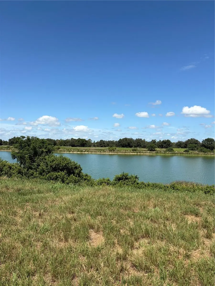 10349 County Road 555, Fort Meade, FL 33841 - #2