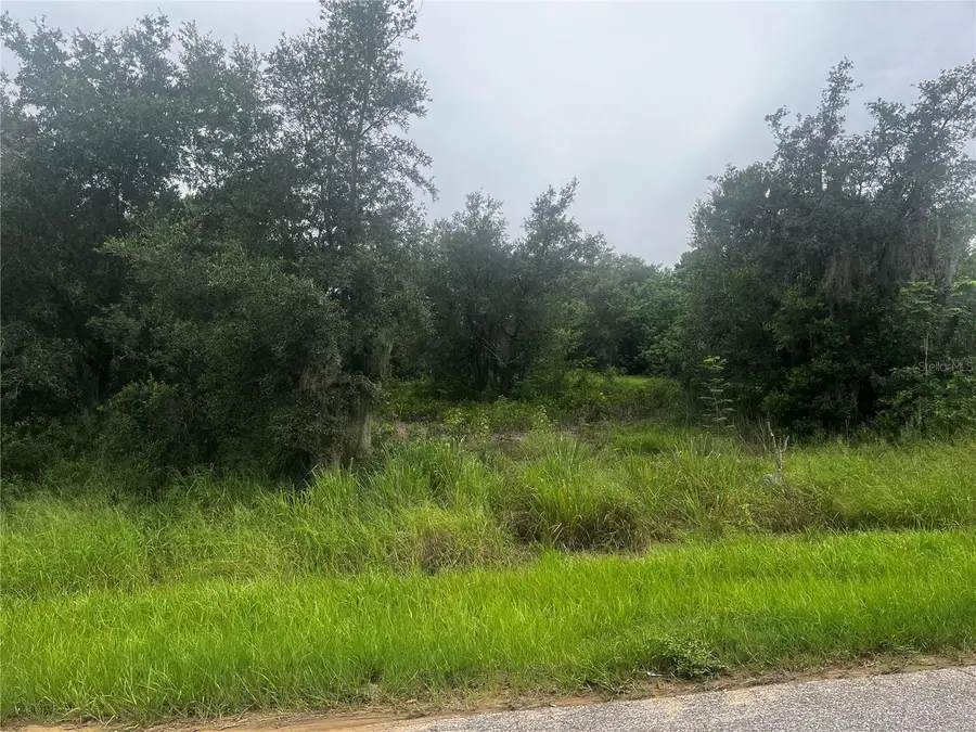 2370 Lake Easy Road, Babson Park, FL 33827 - #2