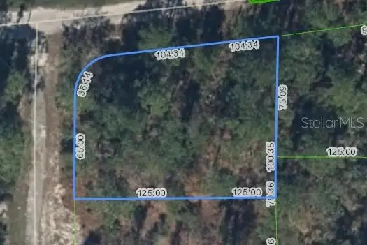 233 Moon Glow Court, Lake Placid, FL 33852 - #1
