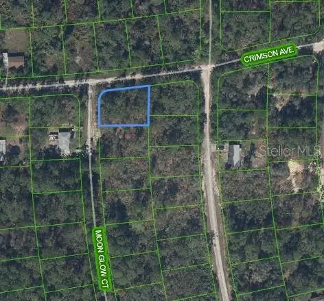 233 Moon Glow Court, Lake Placid, FL 33852 - #2