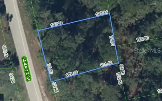 205 Serenade Drive, Lake Placid, FL 33852 - #2