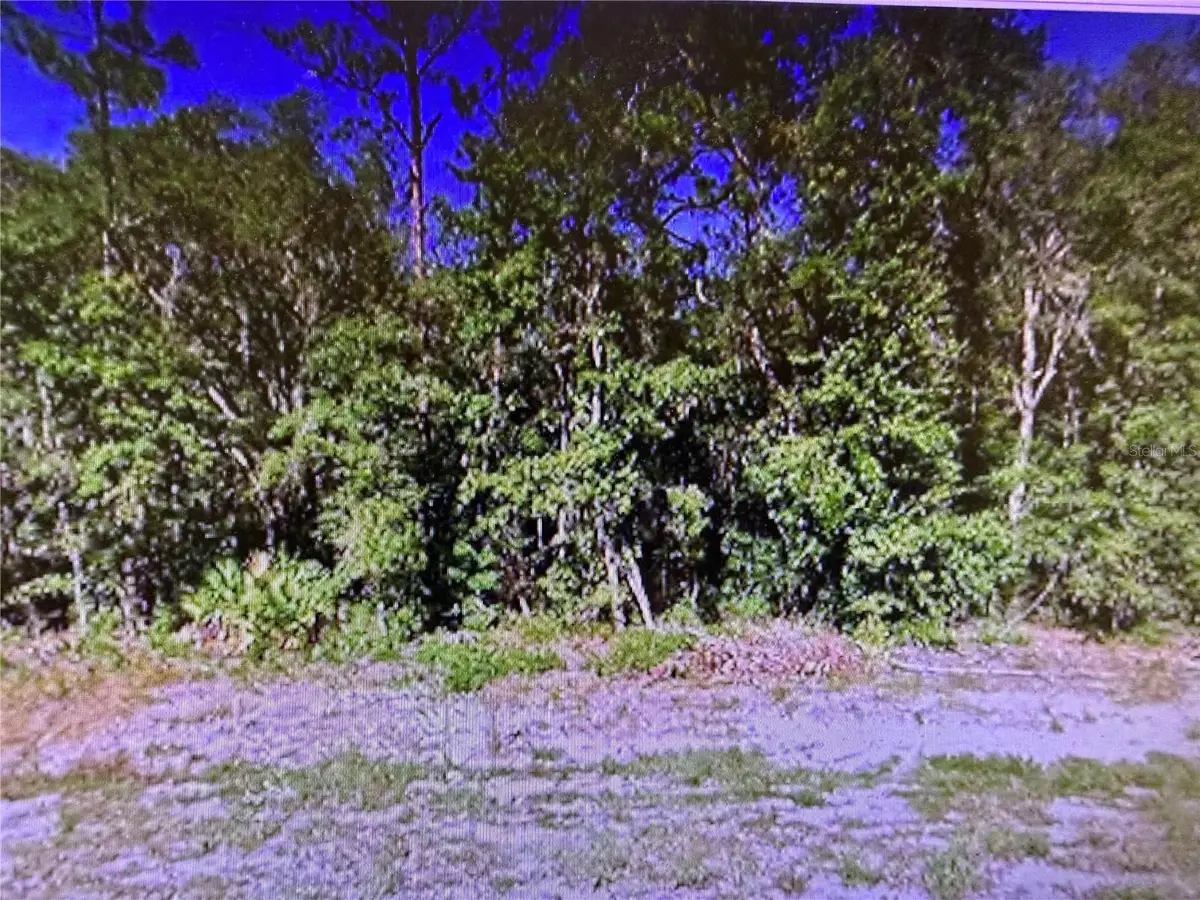 0 Chipo St, Interlachen, FL 32148 - #1