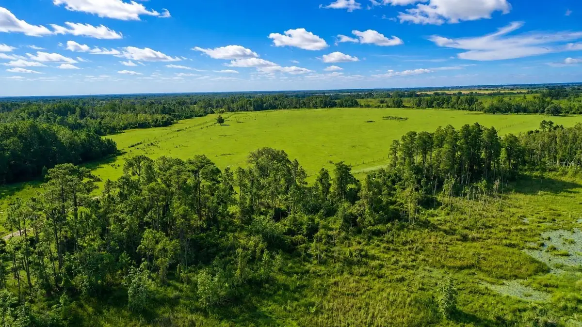 Old Polk City Road, Polk City, FL 33868 - #1