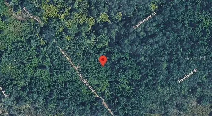 457 Nichele Boulevard, Lake Placid, FL 33852 - #3