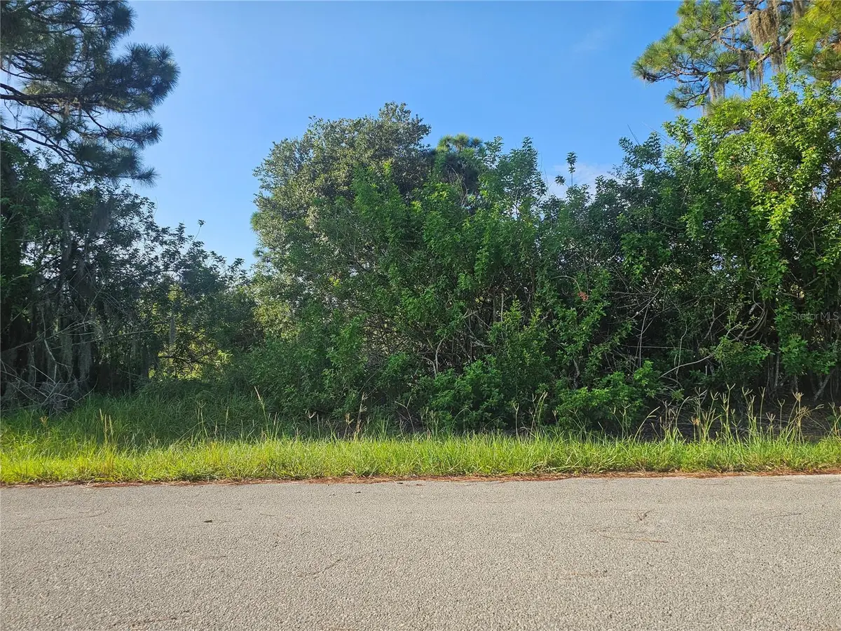251 Sunbeam Court, Lake Placid, FL 33852 - #1