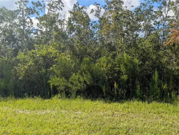 313 Bougainville Drive, INDIAN LAKE ESTATES, FL 33855