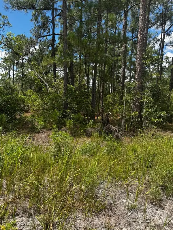 Mcclellan Road #6, FROSTPROOF, FL 33843