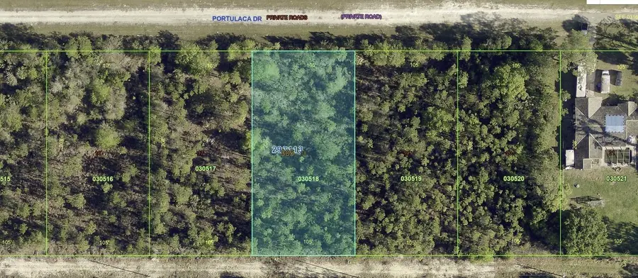 1013 Portulaca Drive, Indian Lake Estates, FL 33855 - #3