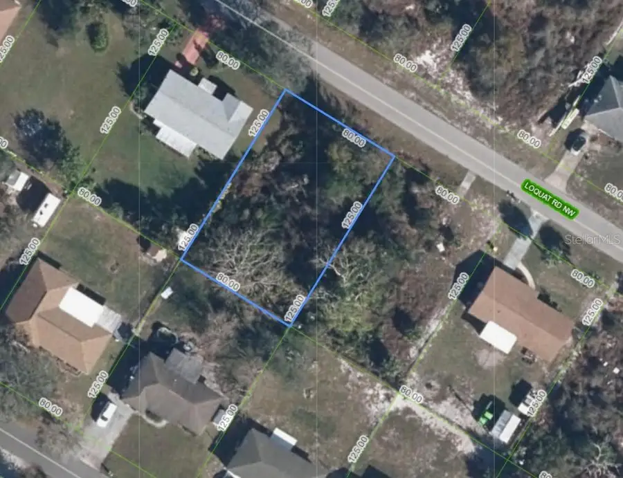254 Loquat Road Nw, Lake Placid, FL 33852 - #2