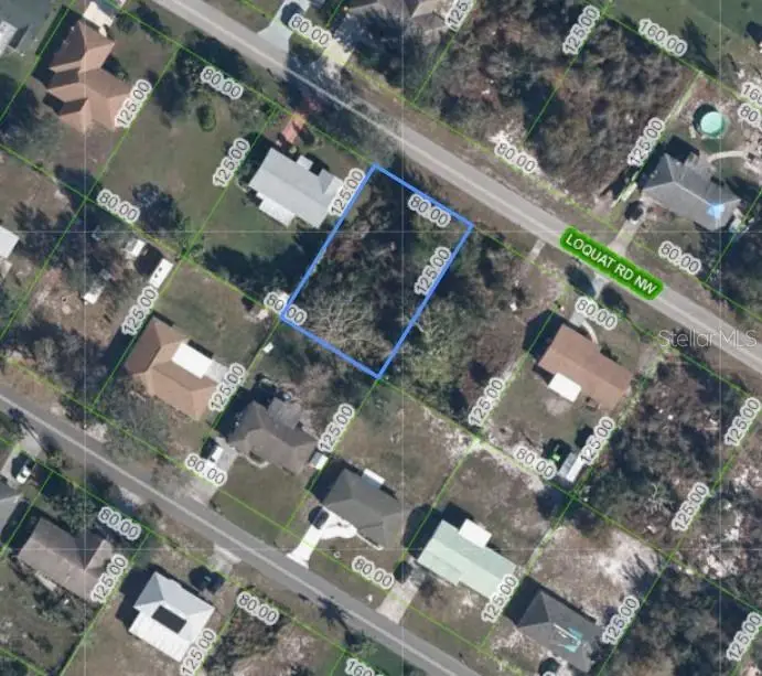 254 Loquat Road Nw, Lake Placid, FL 33852 - #3