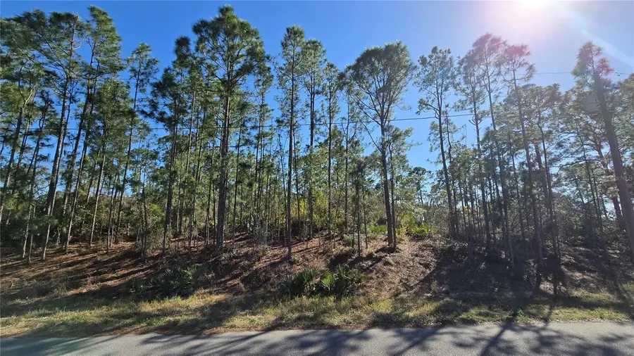 103 Sentimental Court, Lake Placid, FL 33852 - #2
