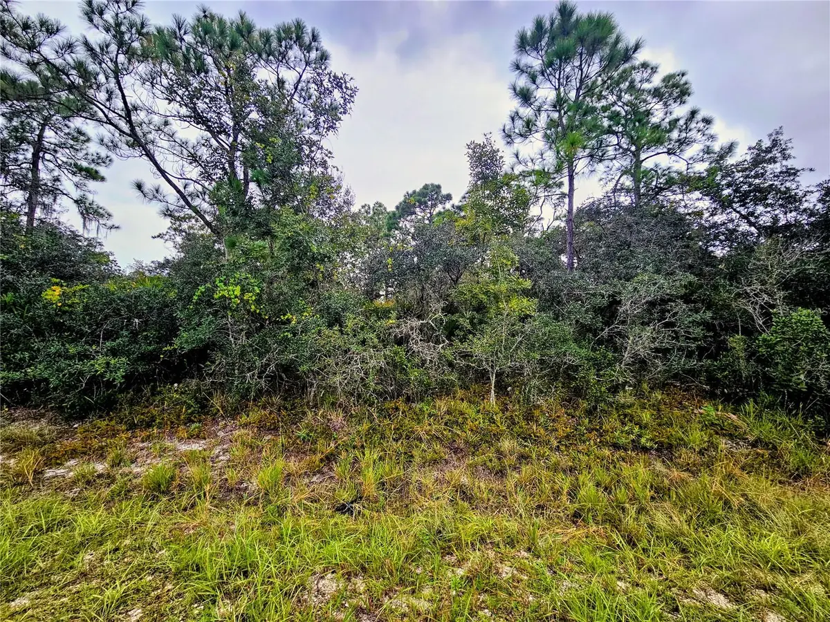 105 Bronson Street Nw, Lake Placid, FL 33852 - #1