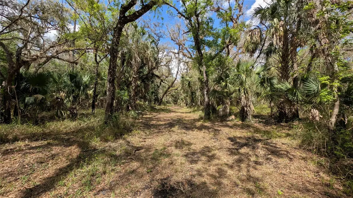 Gillette Road, Zolfo Springs, FL 33890 - #1