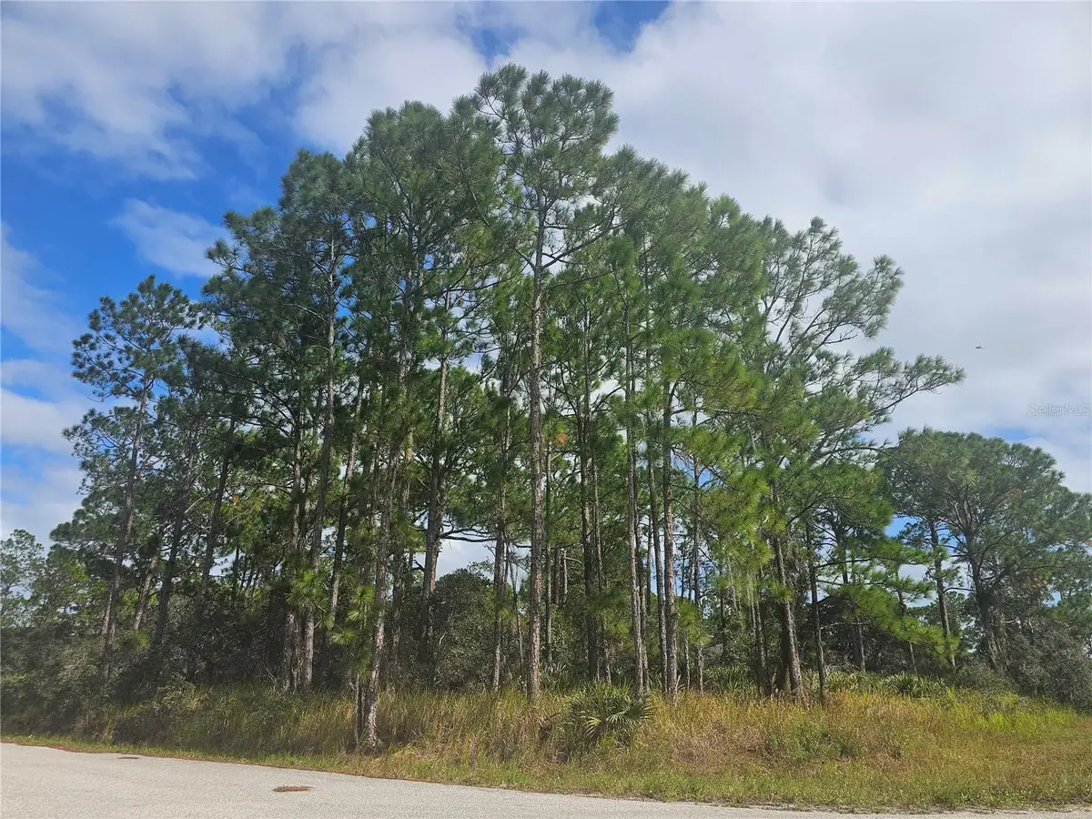 1147 Wildflower Street, Lake Placid, FL 33852 - #1