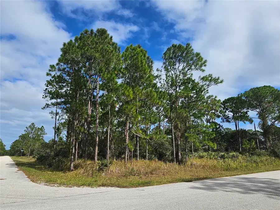 1147 Wildflower Street, Lake Placid, FL 33852 - #3