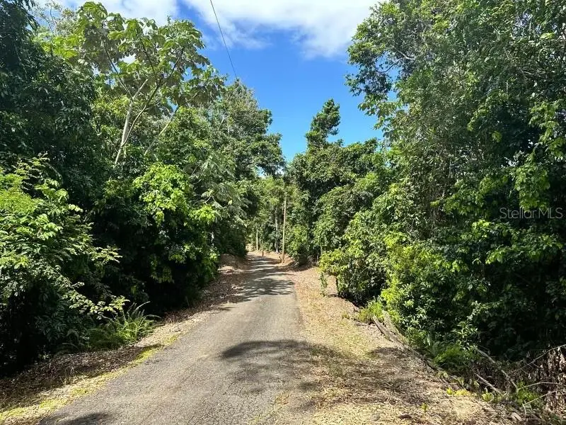 Road PR-140 km 34.2 Barrio Don Alonso, Utuado, PR 00641 - Image #1