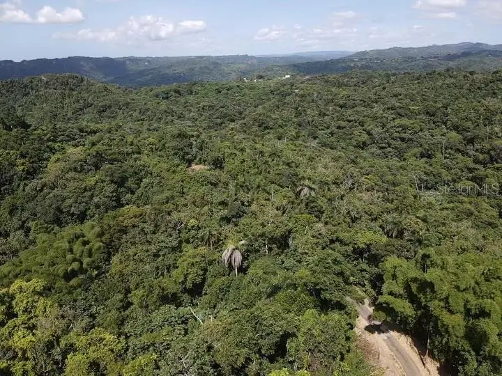 Road PR-140 km 34.2 Barrio Don Alonso, Utuado, PR 00641 - Image #3