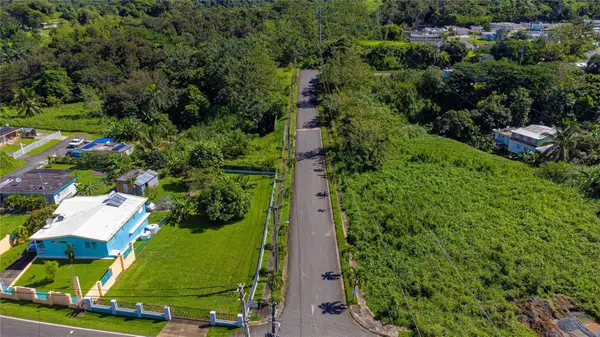 Urb. Reparto Leila Bo.quebrada Cruz, TOA ALTA, PR 00953