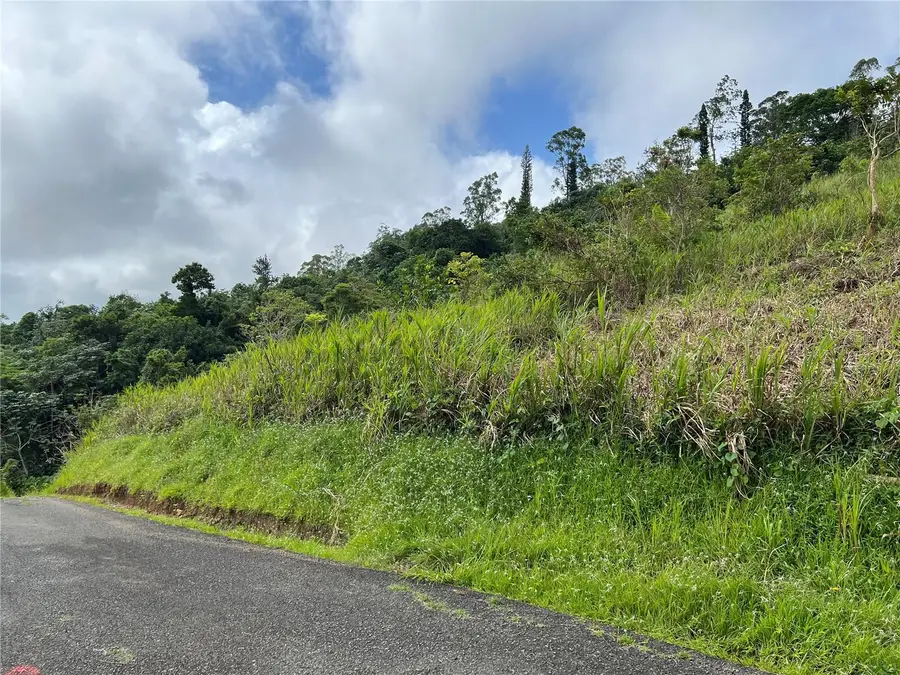 KM 0.2 INT Bo. Helechal Pr 152, Barranquitas, PR 00794 - #3