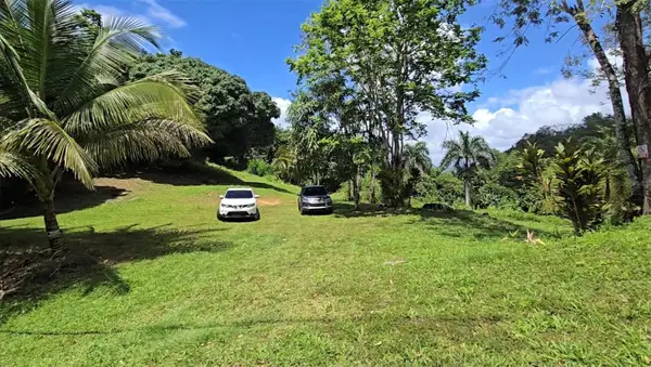 Bo Borinquen, CAGUAS, PR 00725