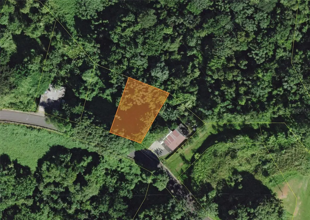 Carr. 351 Bo. Ro Caas, Mayaguez, PR 00680 - Image #1