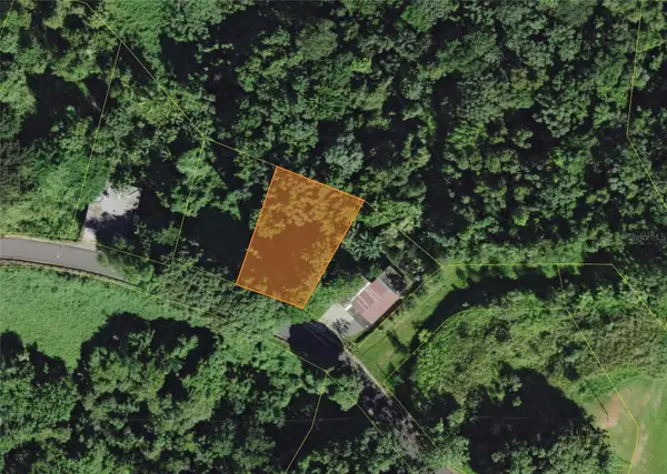 Carr. 351 Bo. Ro Caas, MAYAGUEZ, PR 00680