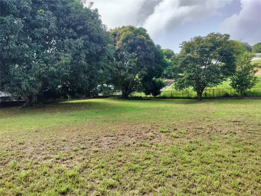 Undetermined, Canaan, FL 34473 - Image #3