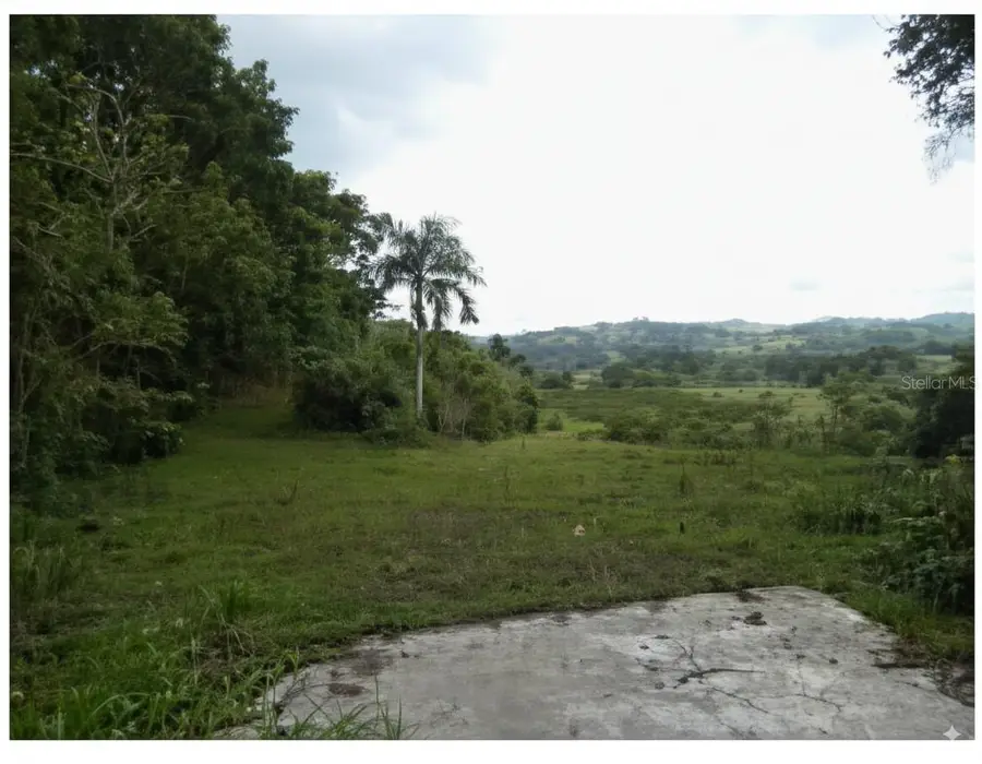 Km. 7.6 Road Pr-152, Barranquitas, PR 00794 - Image #2
