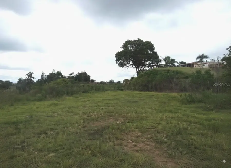Km. 7.6 Road Pr-152, Barranquitas, PR 00794 - Image #3