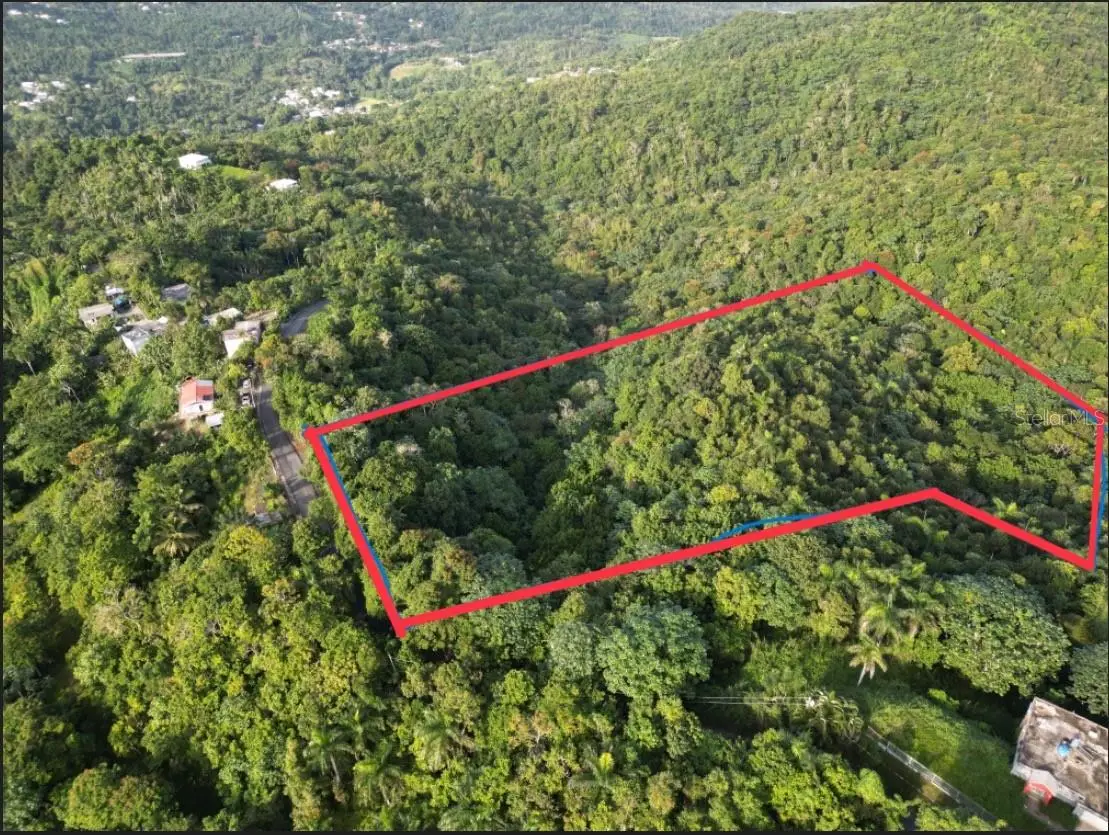 Bo Caguitas , Carr 785 Km.hm 4.2,, Aguas Buenas, PR 00703 - Image #1