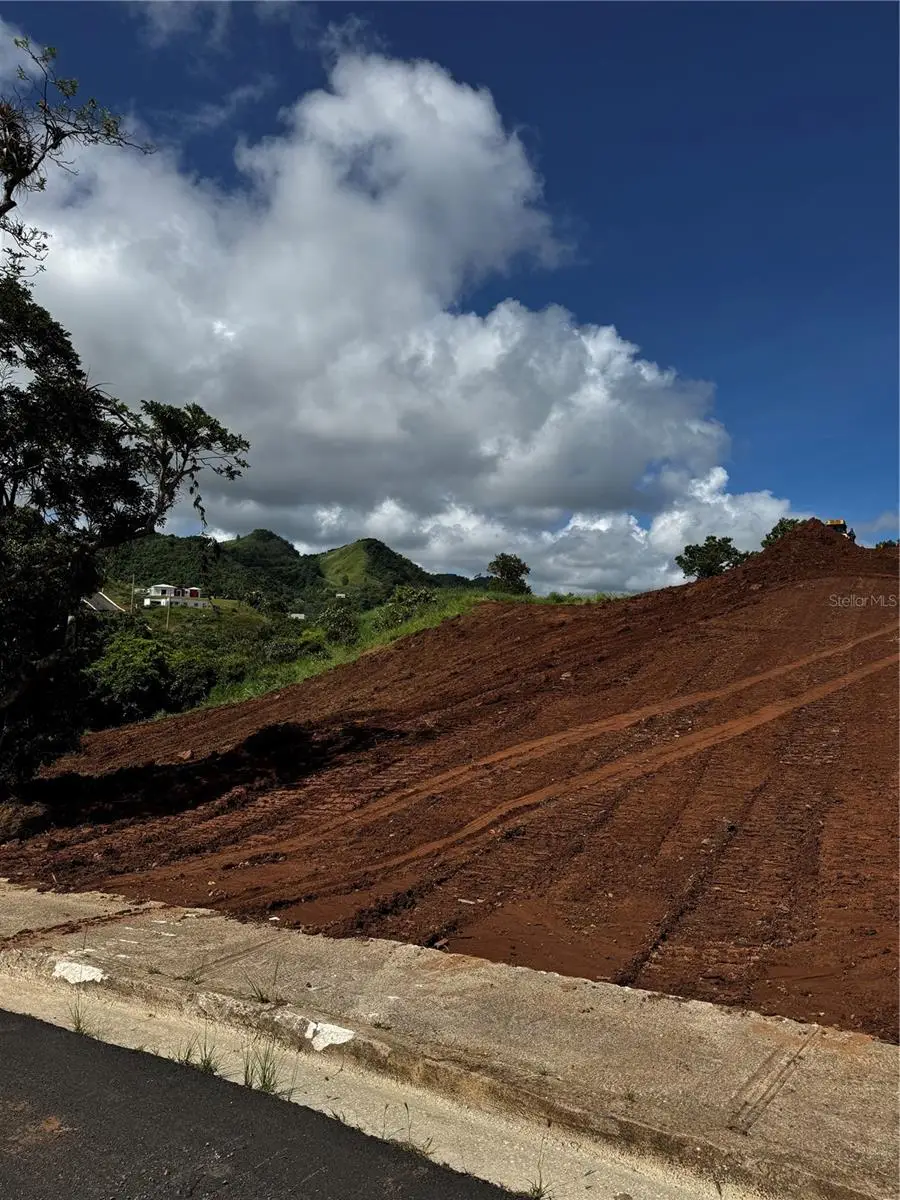 Carr 155 Km 31.2 Int Bo. Barros #Lote 1, Orocovis, PR 00720 - Image #3