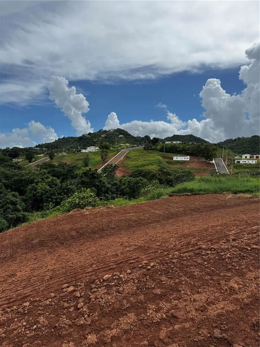 Carr 155 Km 31.2 Int Bo. Barros #Lote 2, Orocovis, PR 00720 - Image #2