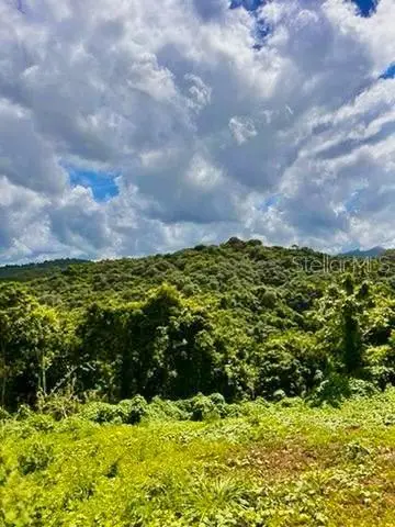 Solar 19 Barrio Cordillera, Ciales, PR 00638 - Image #1