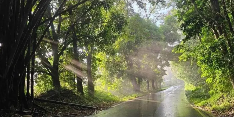 Solar 19 Barrio Cordillera, Ciales, PR 00638 - Image #2