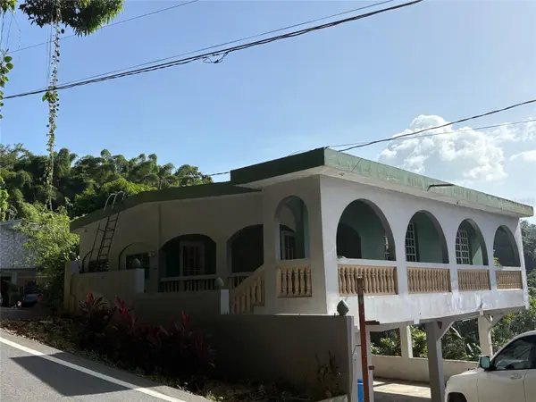 Bo. Jagueyes Carr 173 Km. 27.3, AGUAS BUENAS, PR 00703