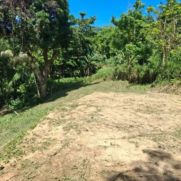 Bo. Minillas De Bayamon Carr 831 Km6.1, BAYAMON, PR 00956