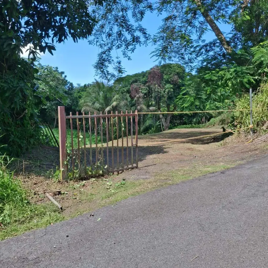 Bo. Minillas De Bayamon Carr 831 Km6.1, Bayamon, PR 00956 - Image #3