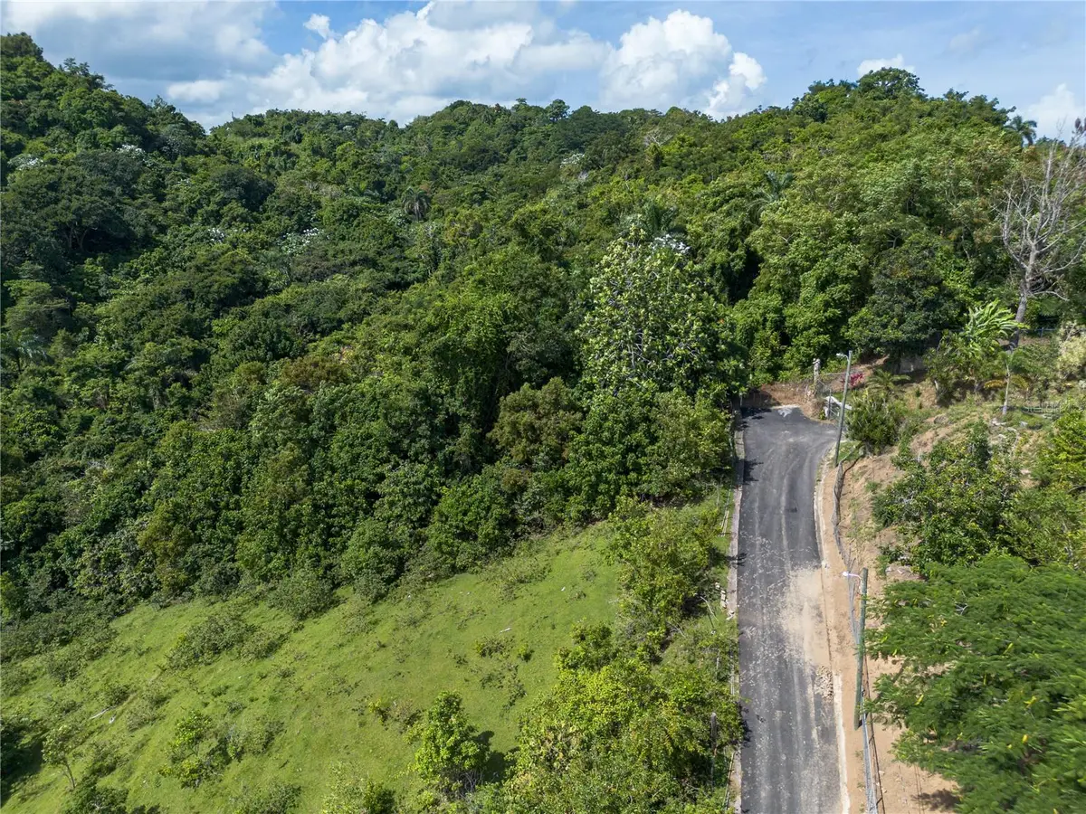 Los Guayabos, San Juan, PR 00926 - #1